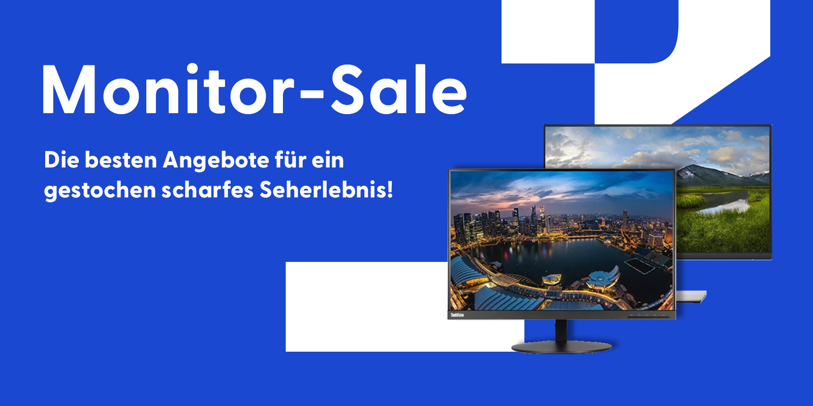 Monitor-Sale