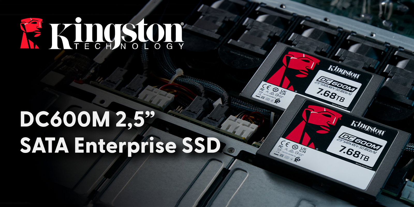 Kingston – SATA Enterprise SSD