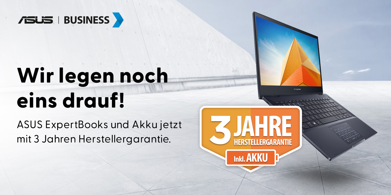 ASUS ExpertBook Serie